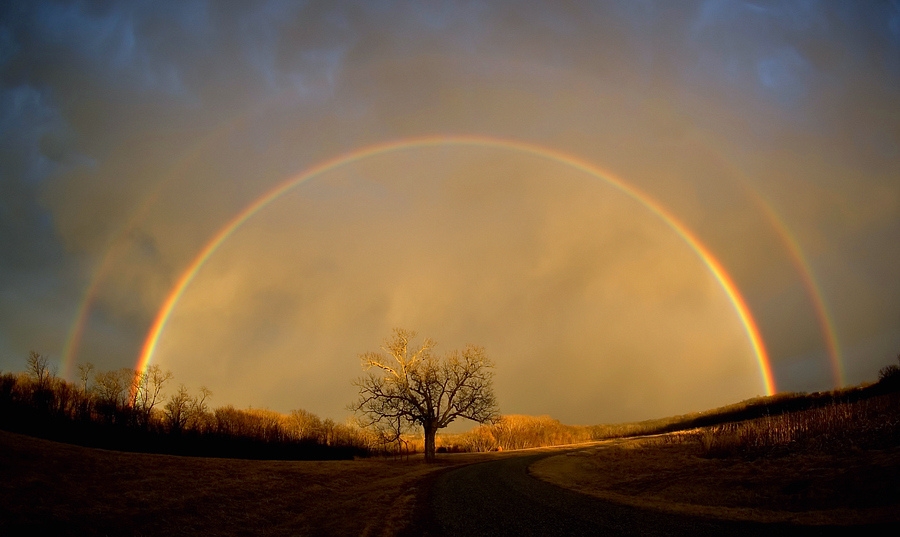 rainbow